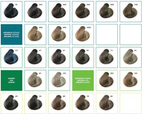 Load image into Gallery viewer, Avyna Colore Zenzero 00 Gray Hair Coverage