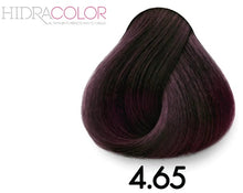 Load image into Gallery viewer, Hidracolor 4.65 Borgoña