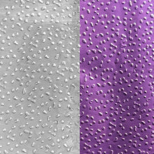 Load image into Gallery viewer, Colortrak Foiling - Duo Pop-Up Foil | Purple and Silver 400ct