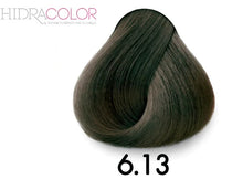 Load image into Gallery viewer, Hidracolor 6.13 Dark Ash Golden Blonde