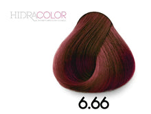 Load image into Gallery viewer, Hidracolor 6.66 Red Nacre Blonde