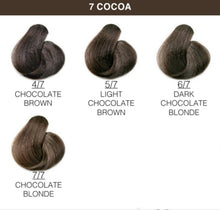 Load image into Gallery viewer, Avyna Colore Zenzero Cocoa Shades