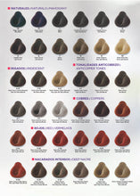 Load image into Gallery viewer, Kuul Cream Hair Color Swatch Book