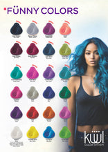 Load image into Gallery viewer, Kuul Cream Hair Color Swatch Book