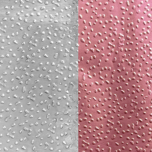 Load image into Gallery viewer, Colortrak Duo Lenght Pop-up 375CT Foil Silver/Rose