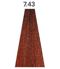 Load image into Gallery viewer, Abril et Nature Color Plex Natural Copper Series
