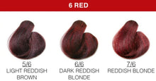 Load image into Gallery viewer, Avyna Colore Zenzero  Red Shades
