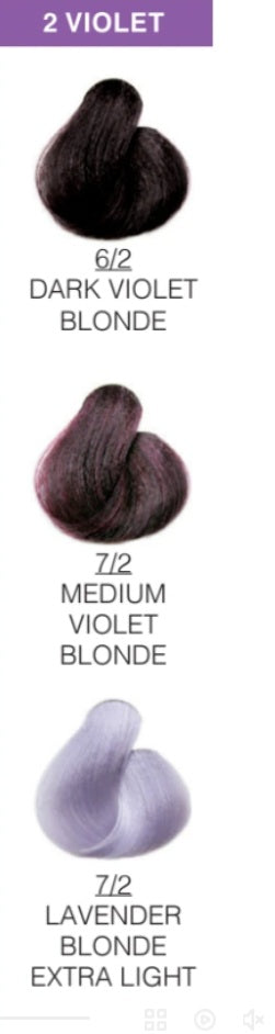Avyna Colore Zenzero Violet Shades