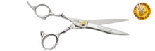 Load image into Gallery viewer, Oliva Garden  DryCutPRO 6&quot; Shear &amp; Razor  Set Lefty
